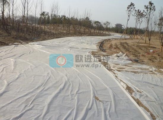彩色生態(tài)透水混凝土地坪-歐進(jìn)建材m.zsjkw.cn